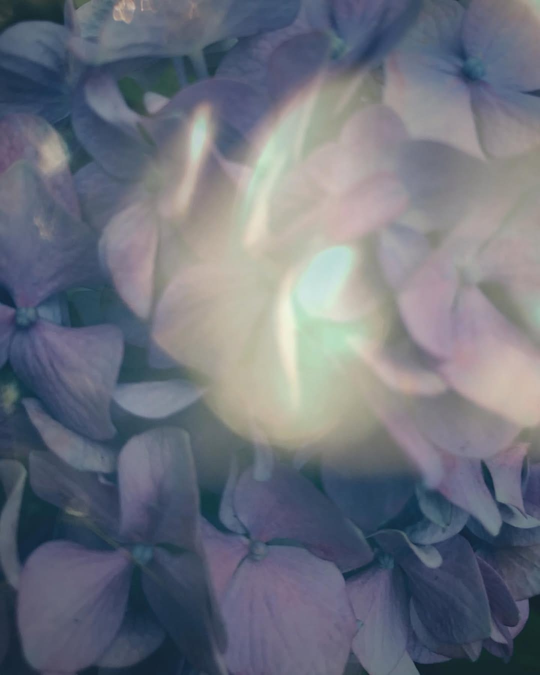 Post 7 by ✵ ✵ on Instagram (image)