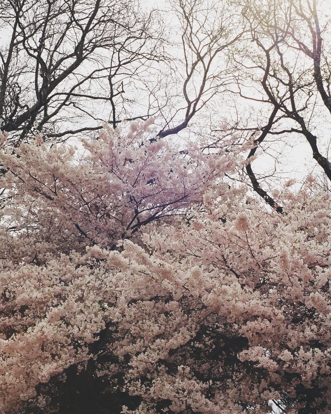 Post 9 by ✵ ✵ on Instagram (image)