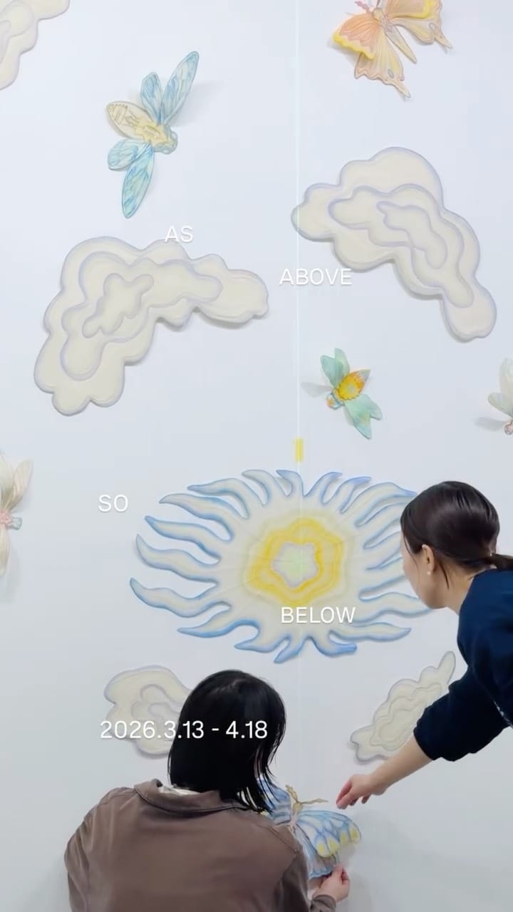 Post 8 by Mona Sugata  |  菅田萠菜 on Instagram (video)