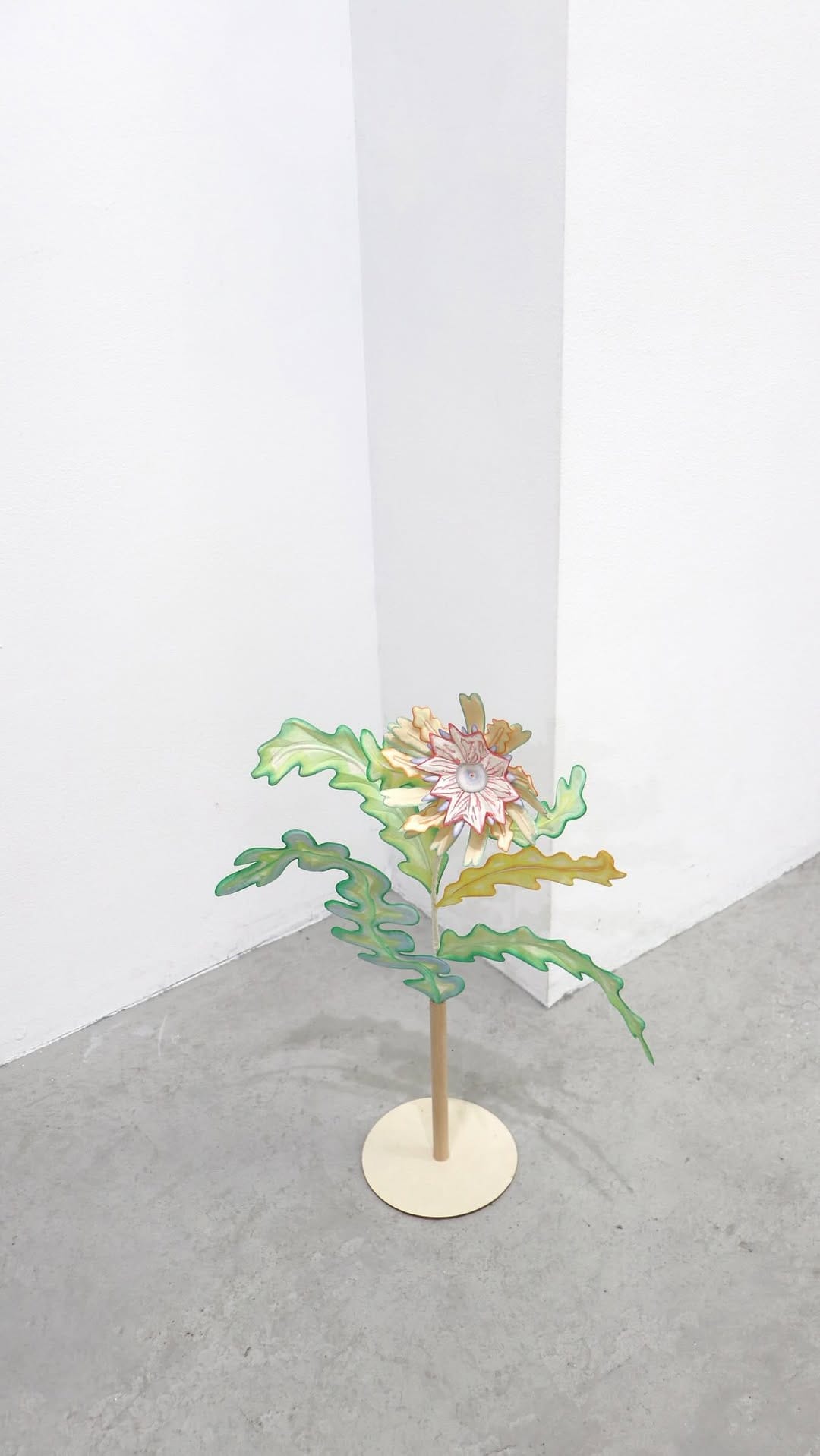 Post 6 by Mona Sugata  |  菅田萠菜 on Instagram (video)