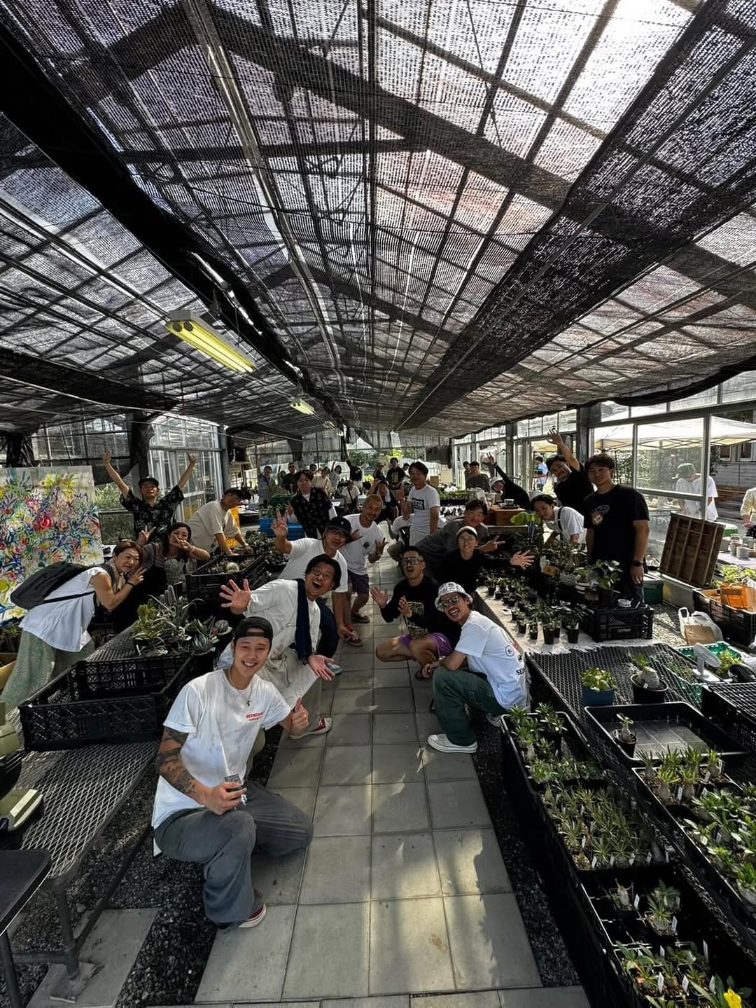 Post 2 by CHUBBY PLANTS on Instagram (image)
