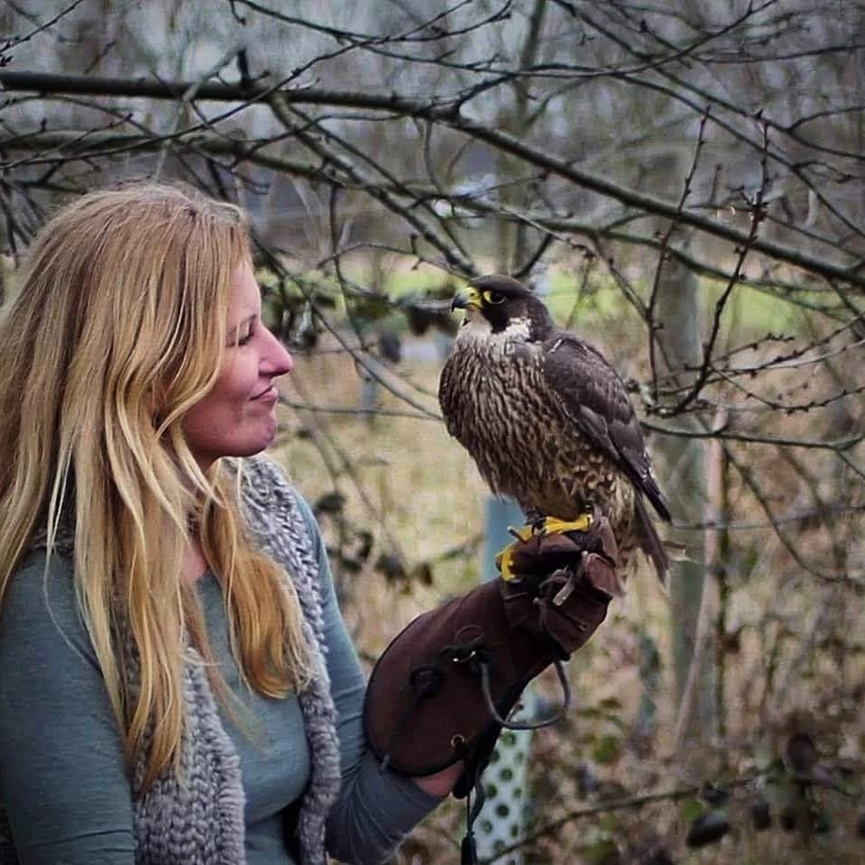 Post 10 by Die Selbstversorgerin on Instagram (carousel)