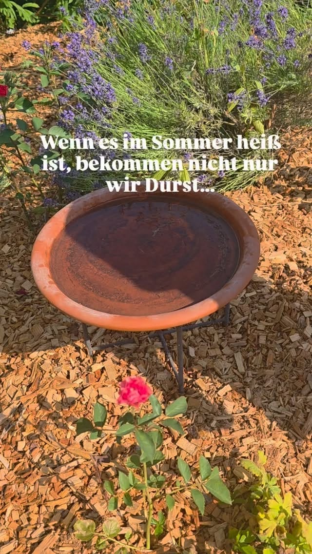 Post 5 by Die Selbstversorgerin on Instagram (video)