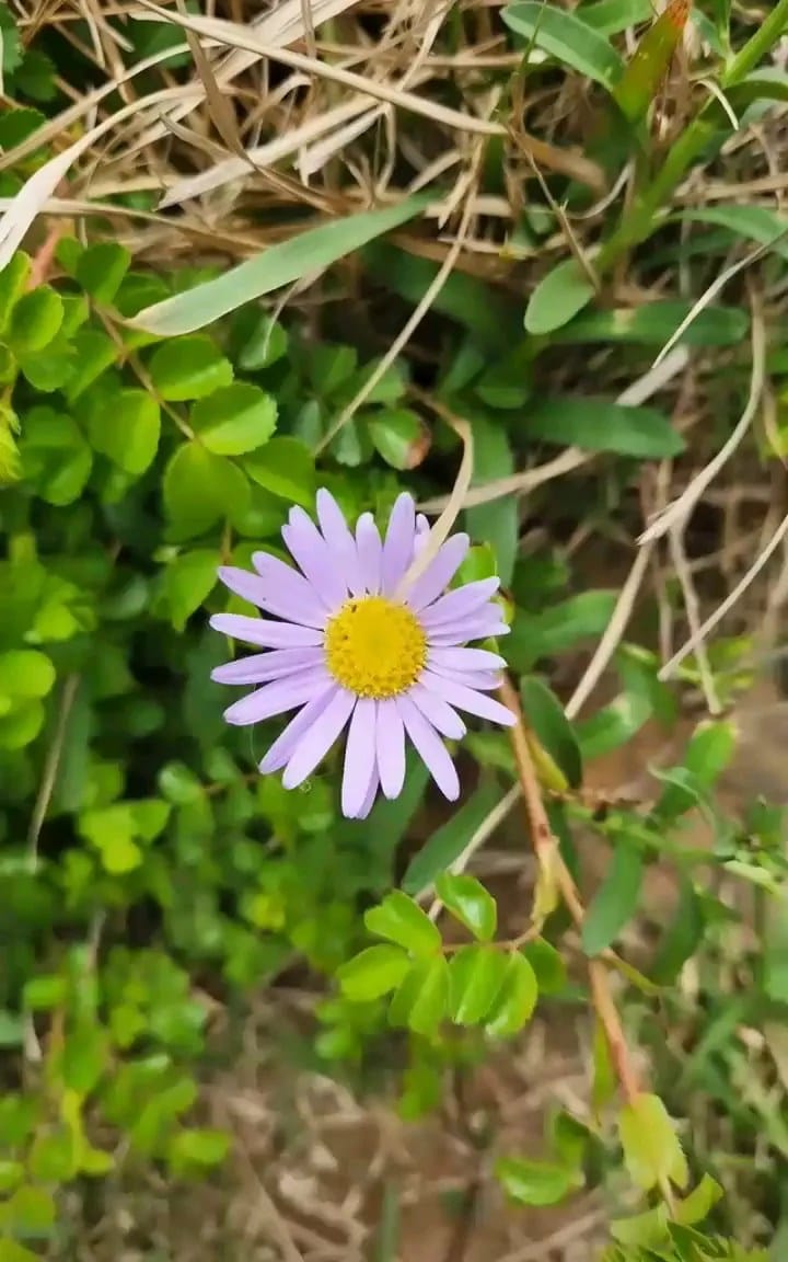Post 9 by BTS V 방탄소년 김태형 TAEKOOK⟭⟬ on Instagram (video)