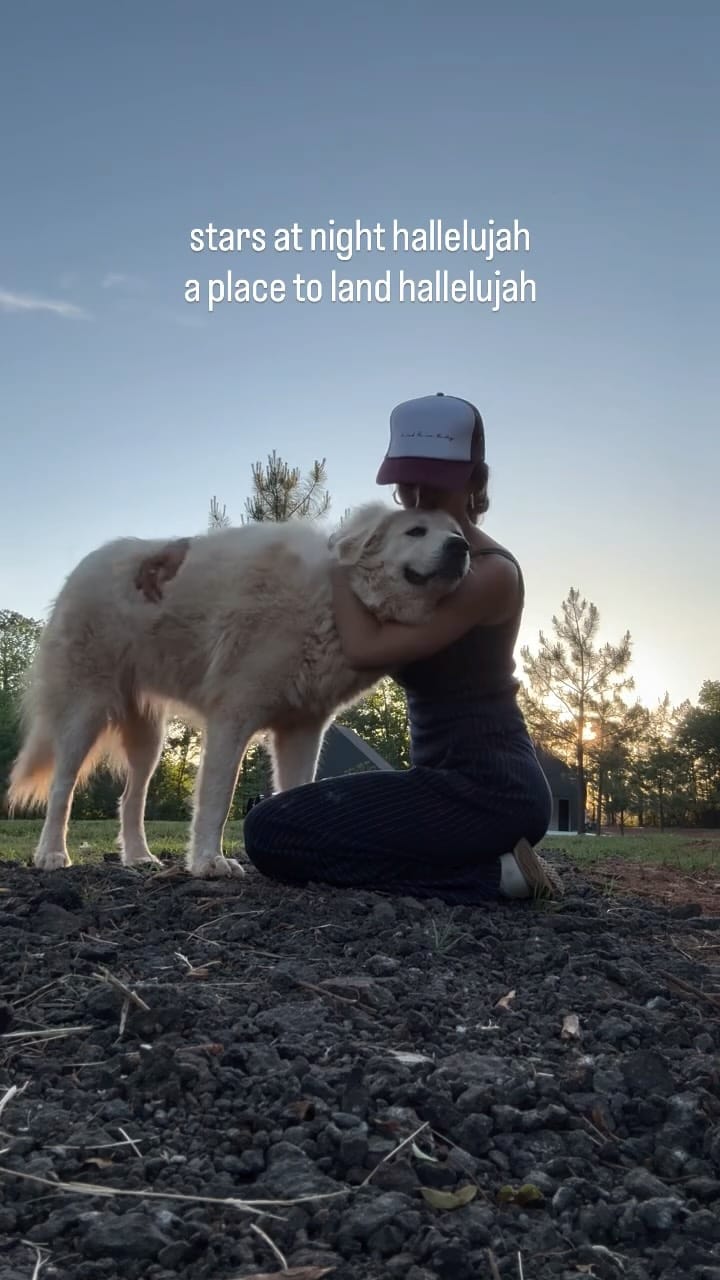 Post 9 by Masey McLain on Instagram (video)