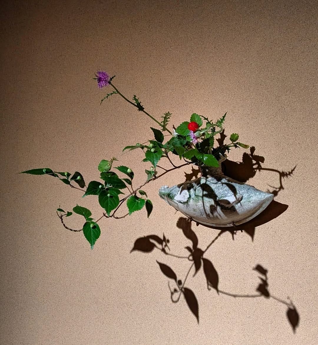 Post 4 by 横川志歩・緑蔭花　なげいれ 花の教室 on Instagram (carousel)