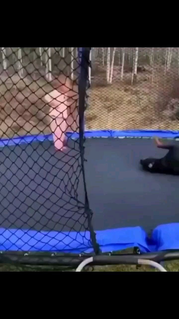 Post 4 by Rottweiler Lovers on Instagram (video)