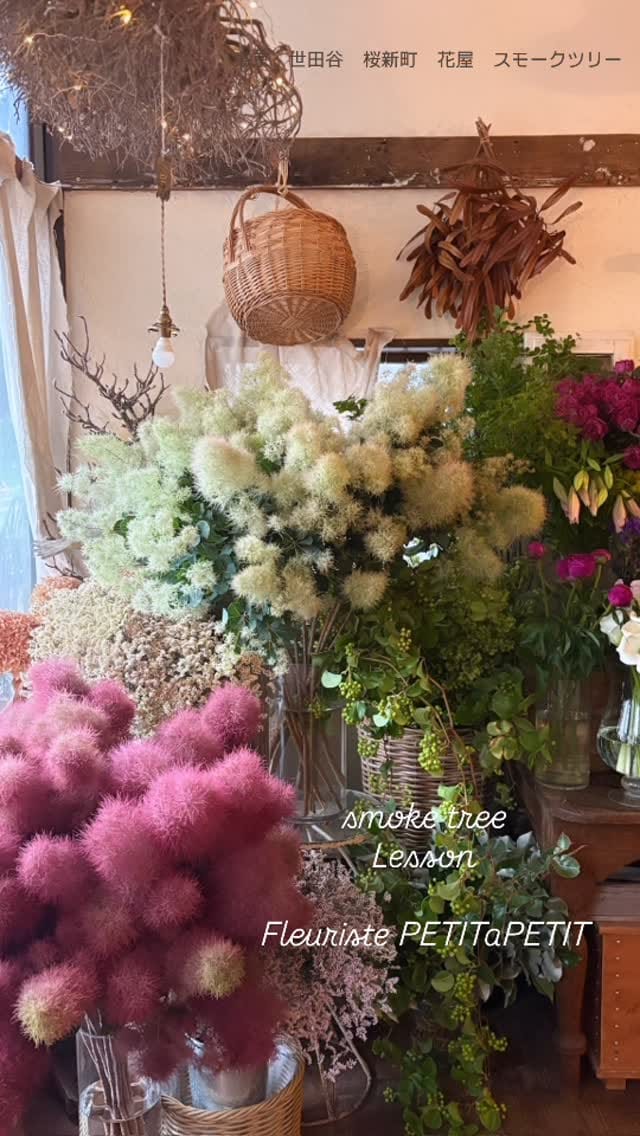 Post 8 by petitapetit／世田谷桜新町の花屋 on Instagram (video)
