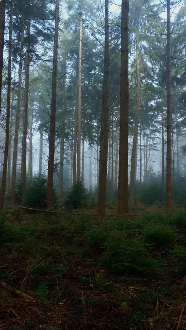 Post 4 by Kyle van den Boogaard on Instagram (video)