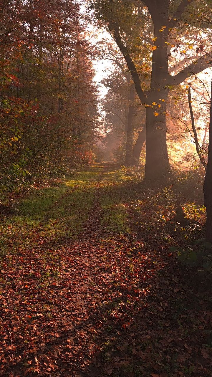 Post 10 by Kyle van den Boogaard on Instagram (video)