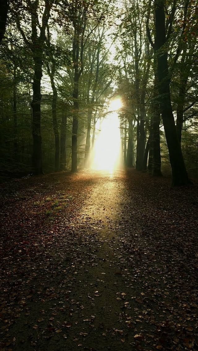 Post 2 by Kyle van den Boogaard on Instagram (video)