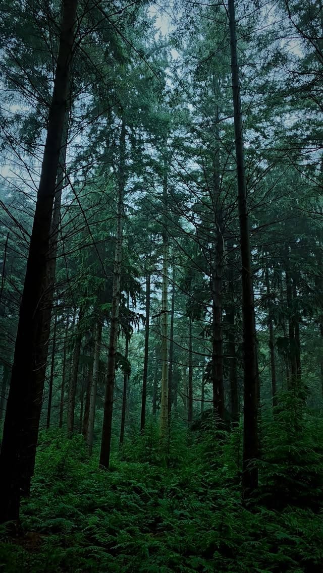 Post 6 by Kyle van den Boogaard on Instagram (video)