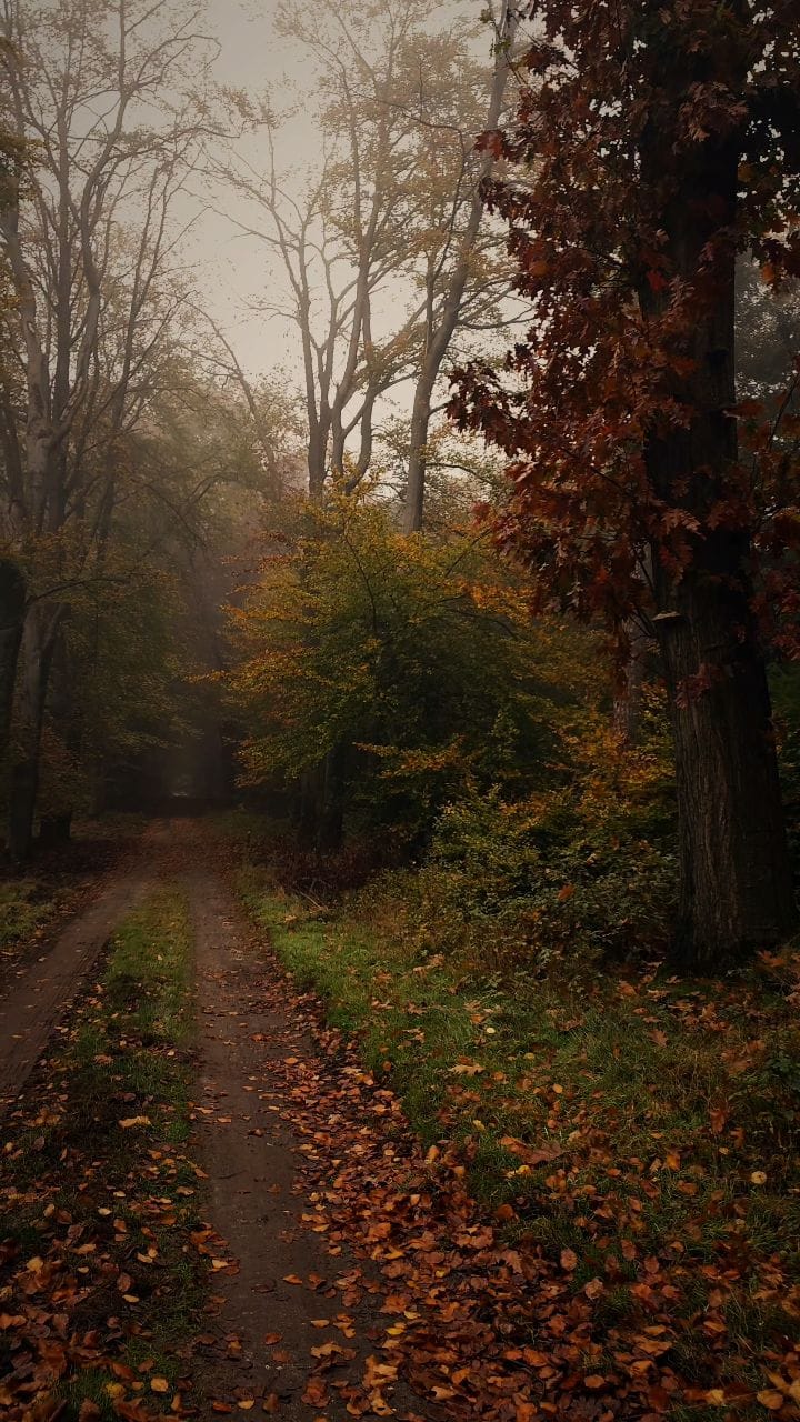 Post 8 by Kyle van den Boogaard on Instagram (video)