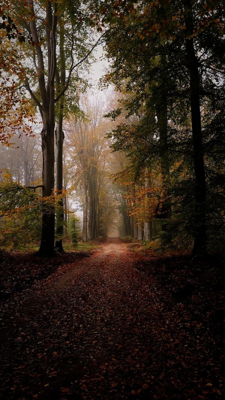 Post 9 by Kyle van den Boogaard on Instagram (video)
