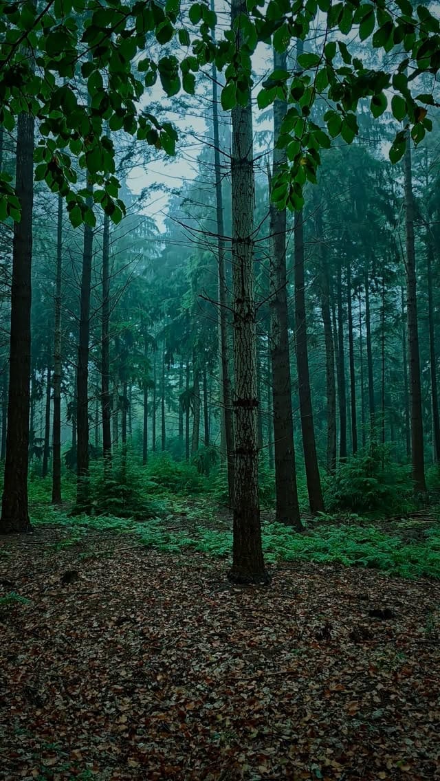 Post 7 by Kyle van den Boogaard on Instagram (video)