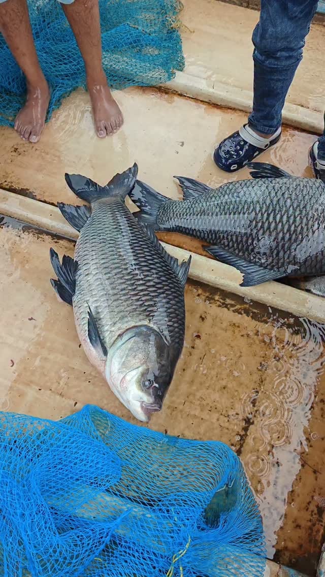 Post 2 by The VND Fishing on Instagram (video)