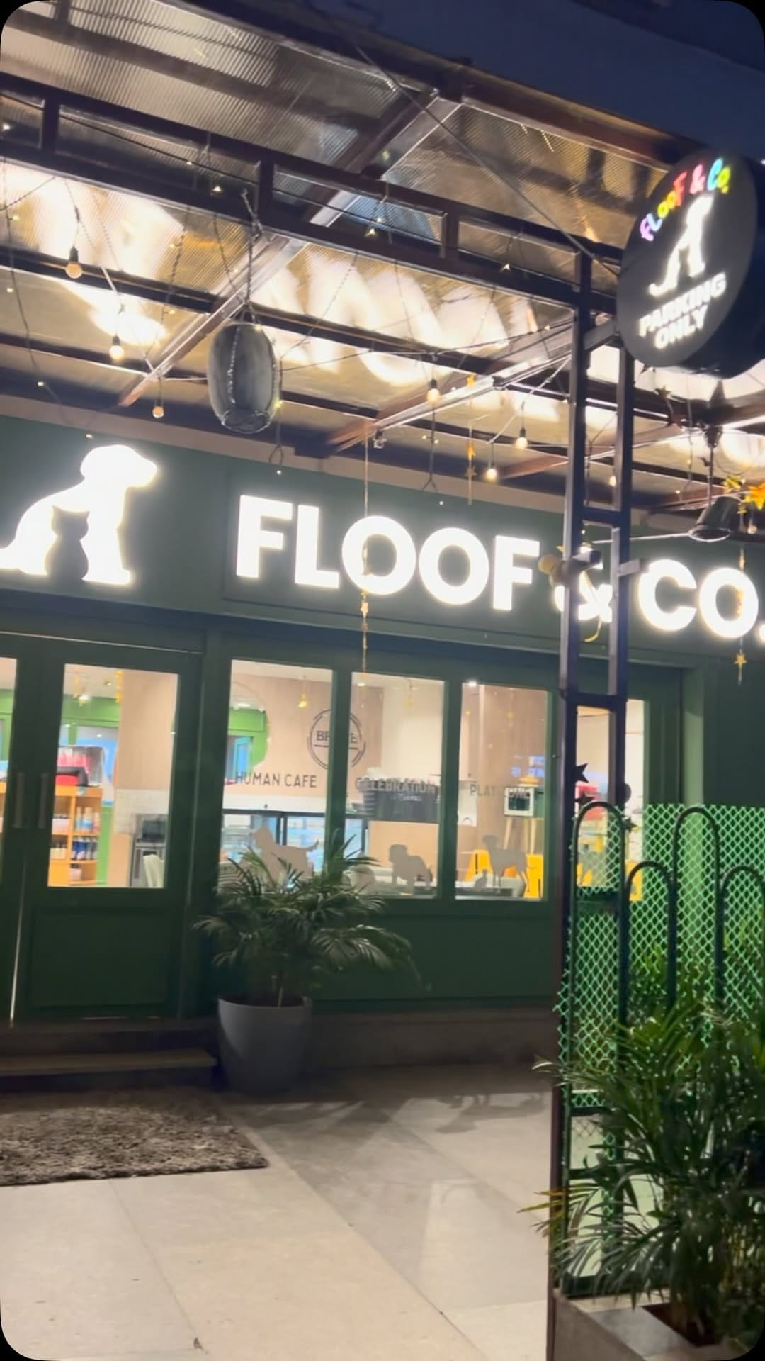 Post 4 by Floof & Co. | Pet Treats | Pet Bakery | Pet Clothing | Pet Café on Instagram (video)