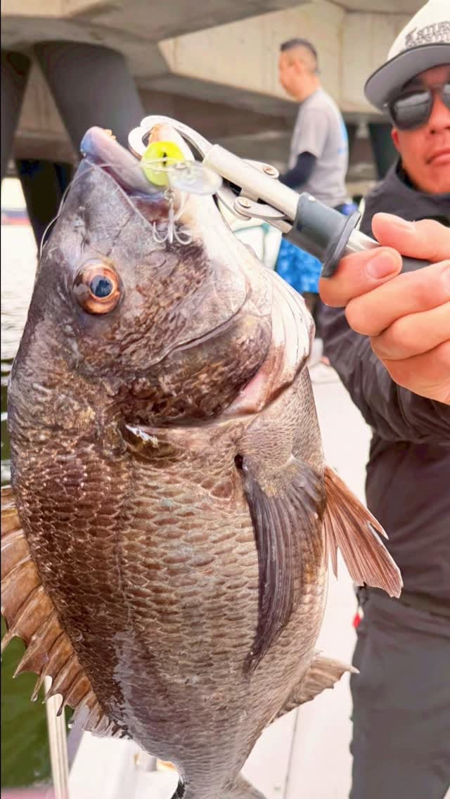Post 8 by 弘輝(hiroki) on Instagram (video)