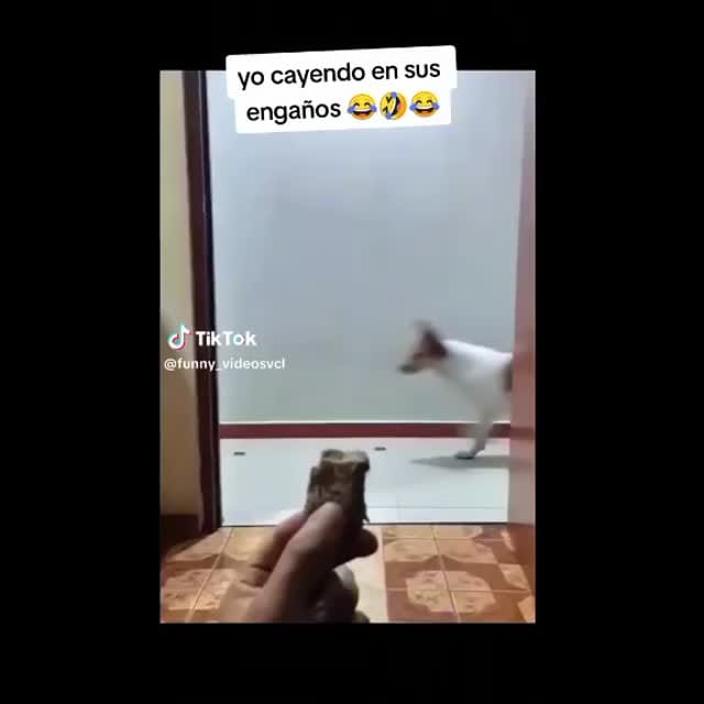 Post 1 by Jonathan m on Instagram (video)