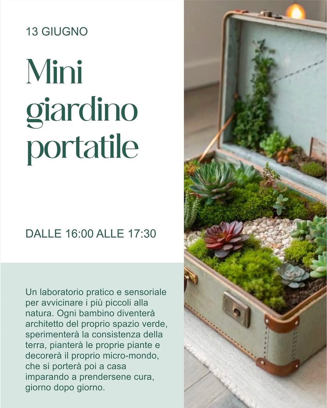 Post 10 by Garden  Le Serre on Instagram (carousel)