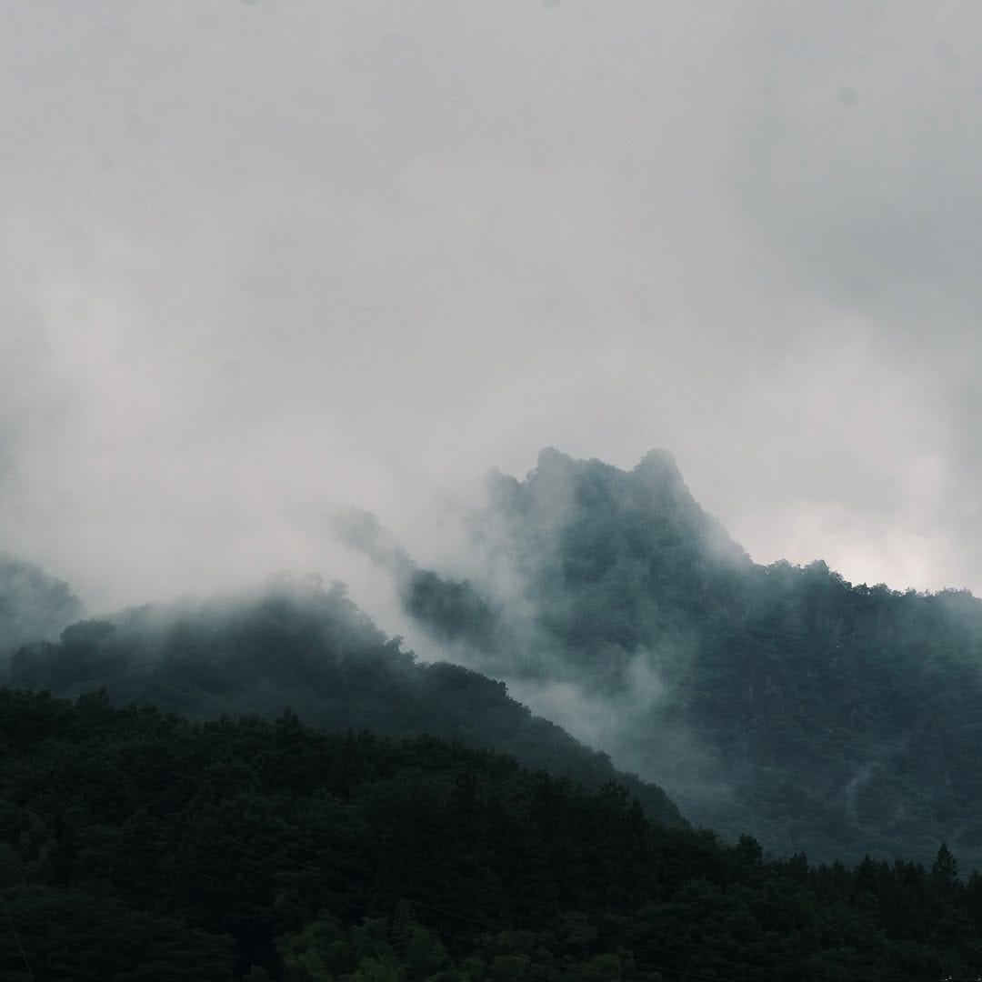 Post 8 by NITAY on Instagram (image)