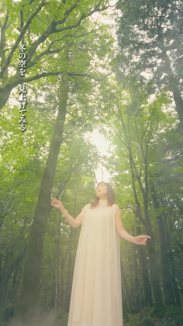 Post 9 by 石原 詢子 on Instagram (video)