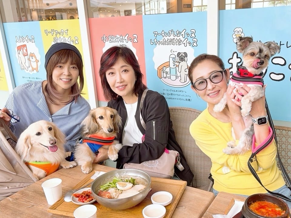 Post 5 by 石原 詢子 on Instagram (carousel)
