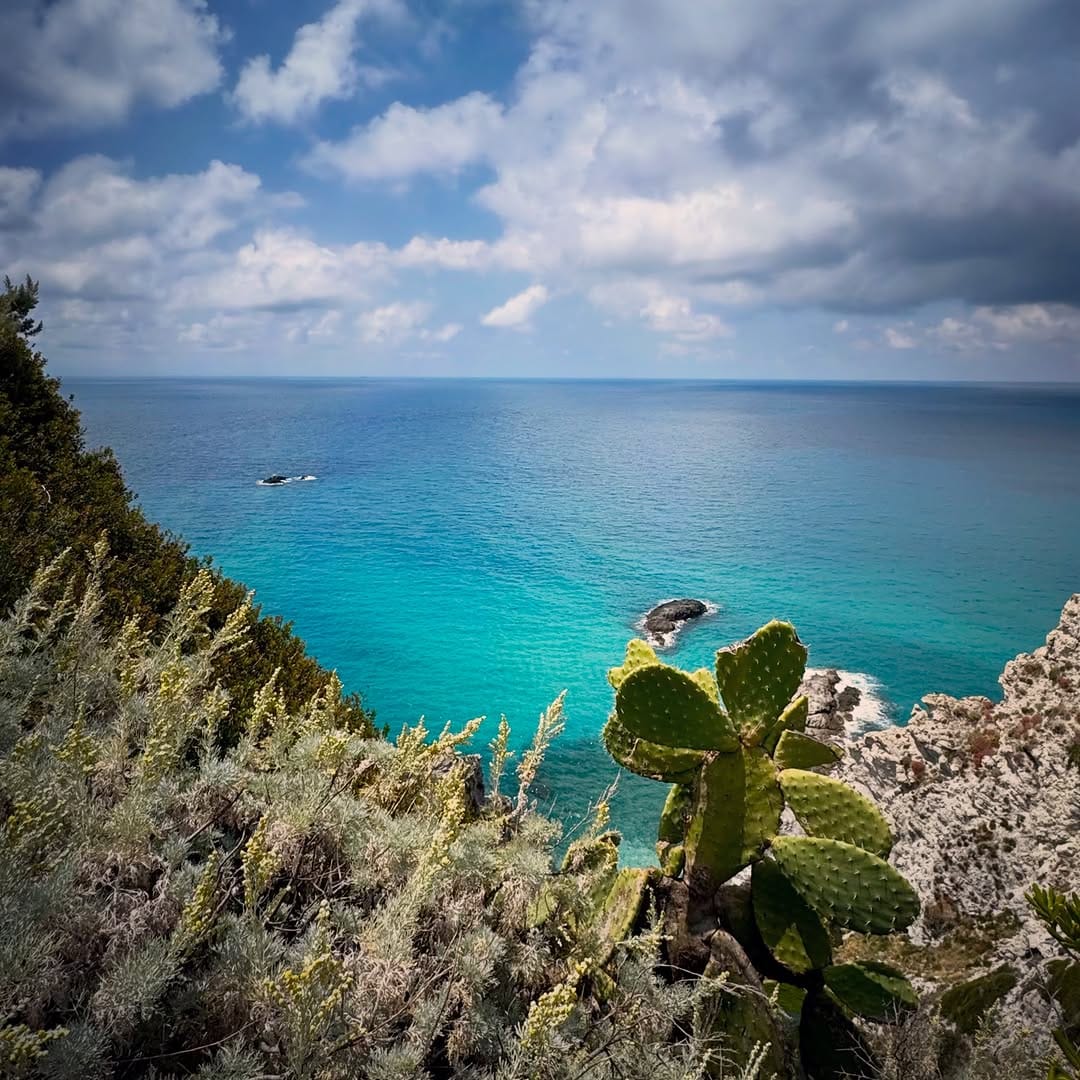 Post 4 by ⭐️MT⭐️ on Instagram (image)
