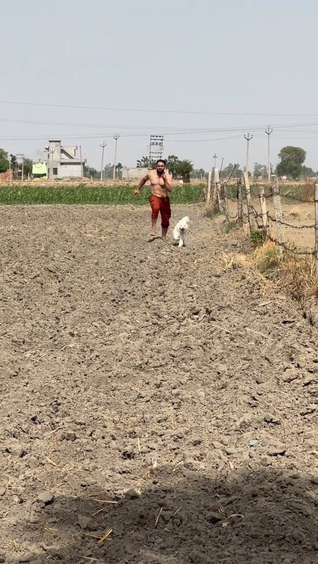 Post 7 by Preet Ghuman on Instagram (video)