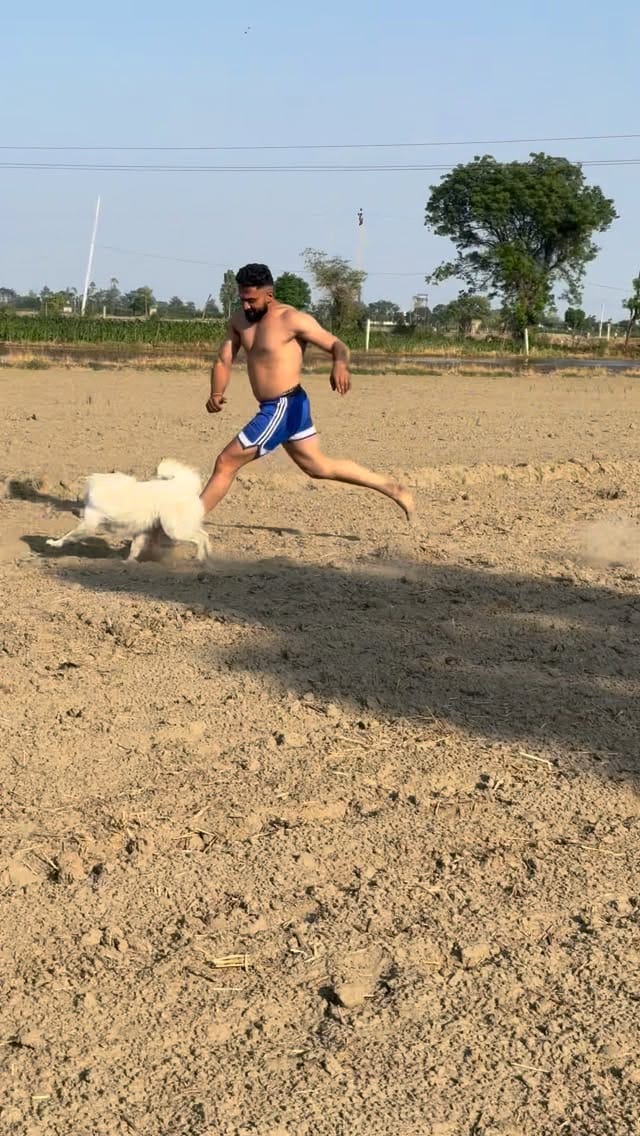 Post 6 by Preet Ghuman on Instagram (video)