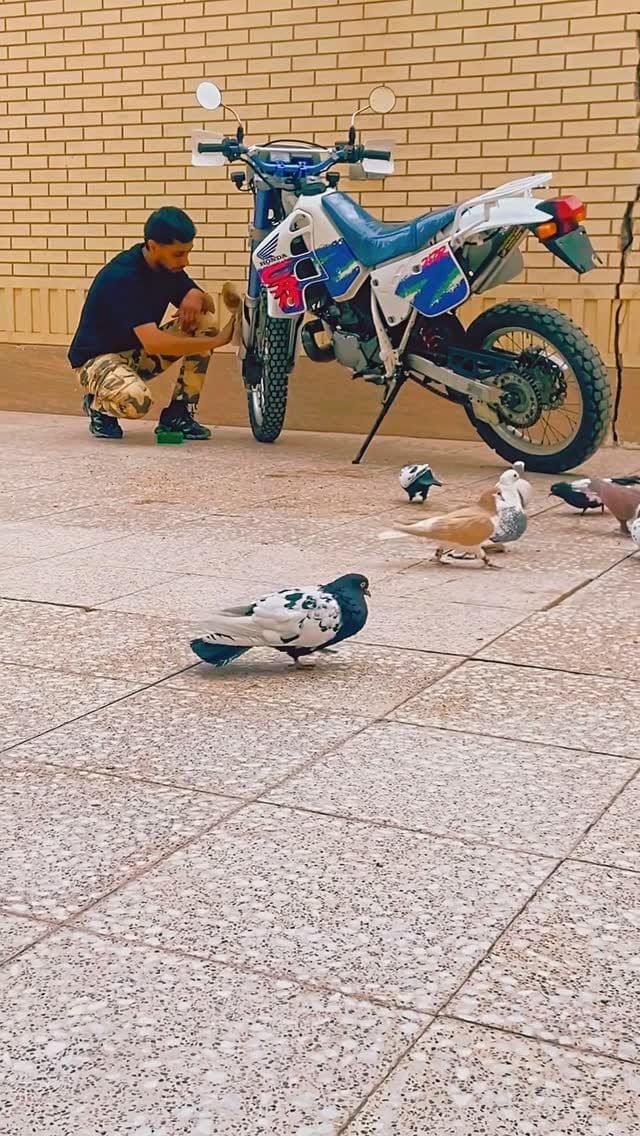 Post 2 by 🥇محمدرسول رشیدی🥇 on Instagram (video)
