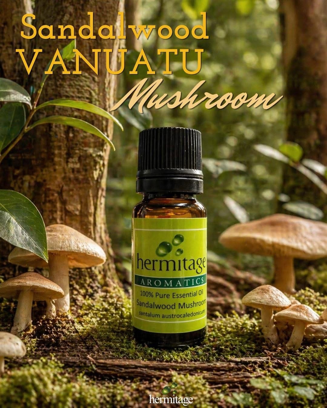 Post 3 by Hermitage Oils on Instagram (carousel)