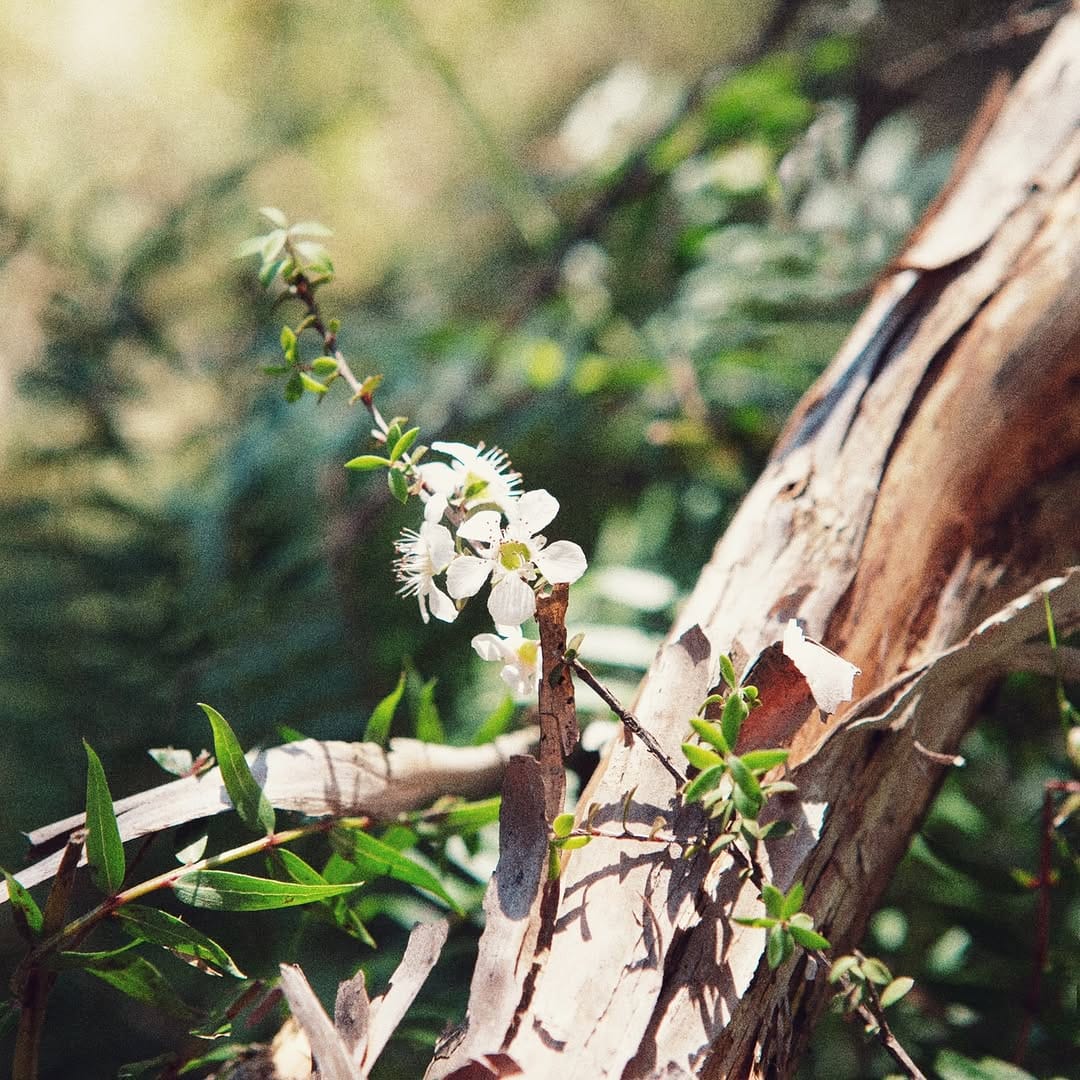 Post 6 by KATOA on Instagram (image)