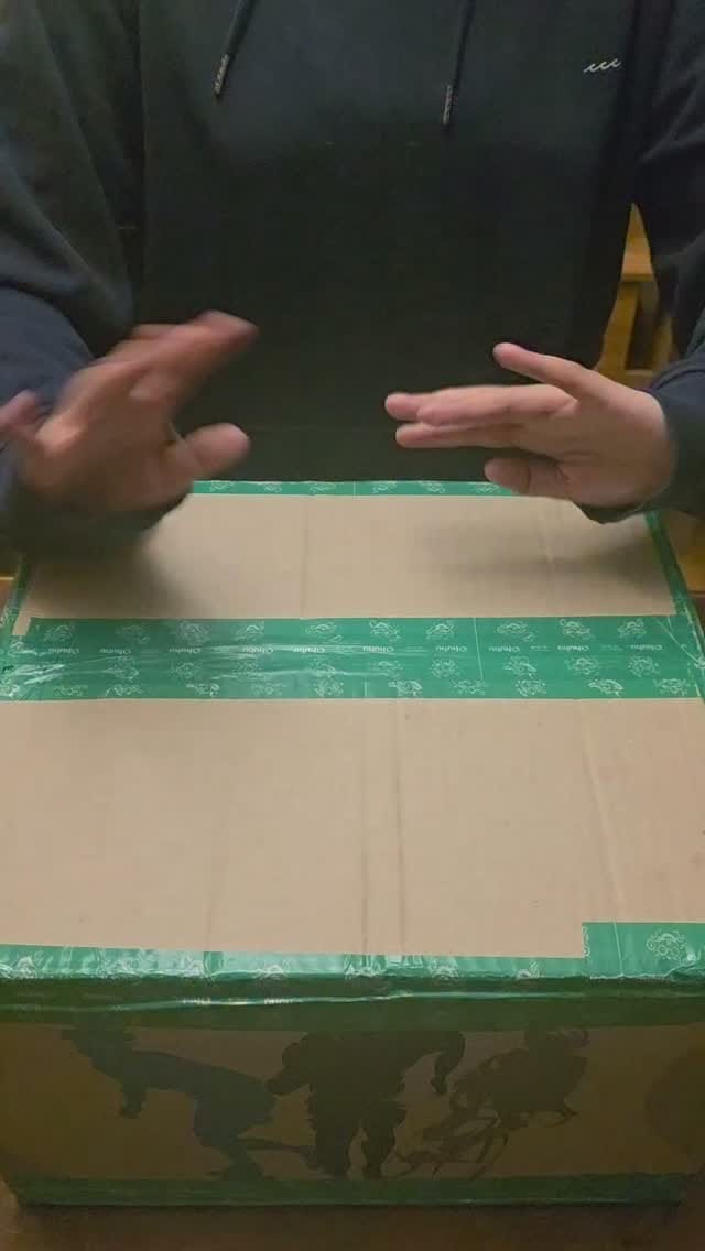 Post 1 by Gatonardo Da Vinci on Instagram (video)