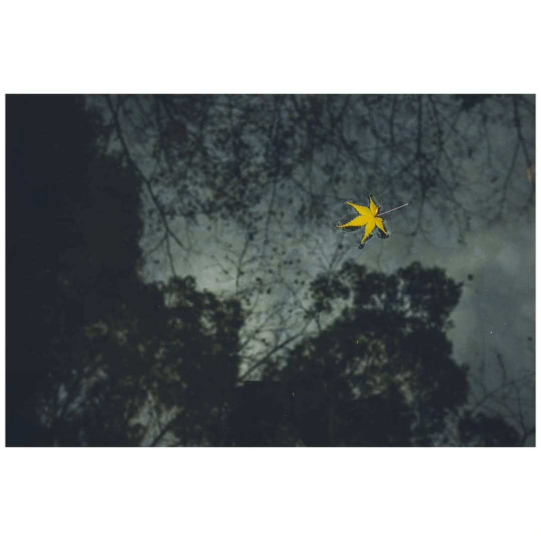 Post 3 by Yōhei Sawamura / 澤村 洋兵 on Instagram (image)