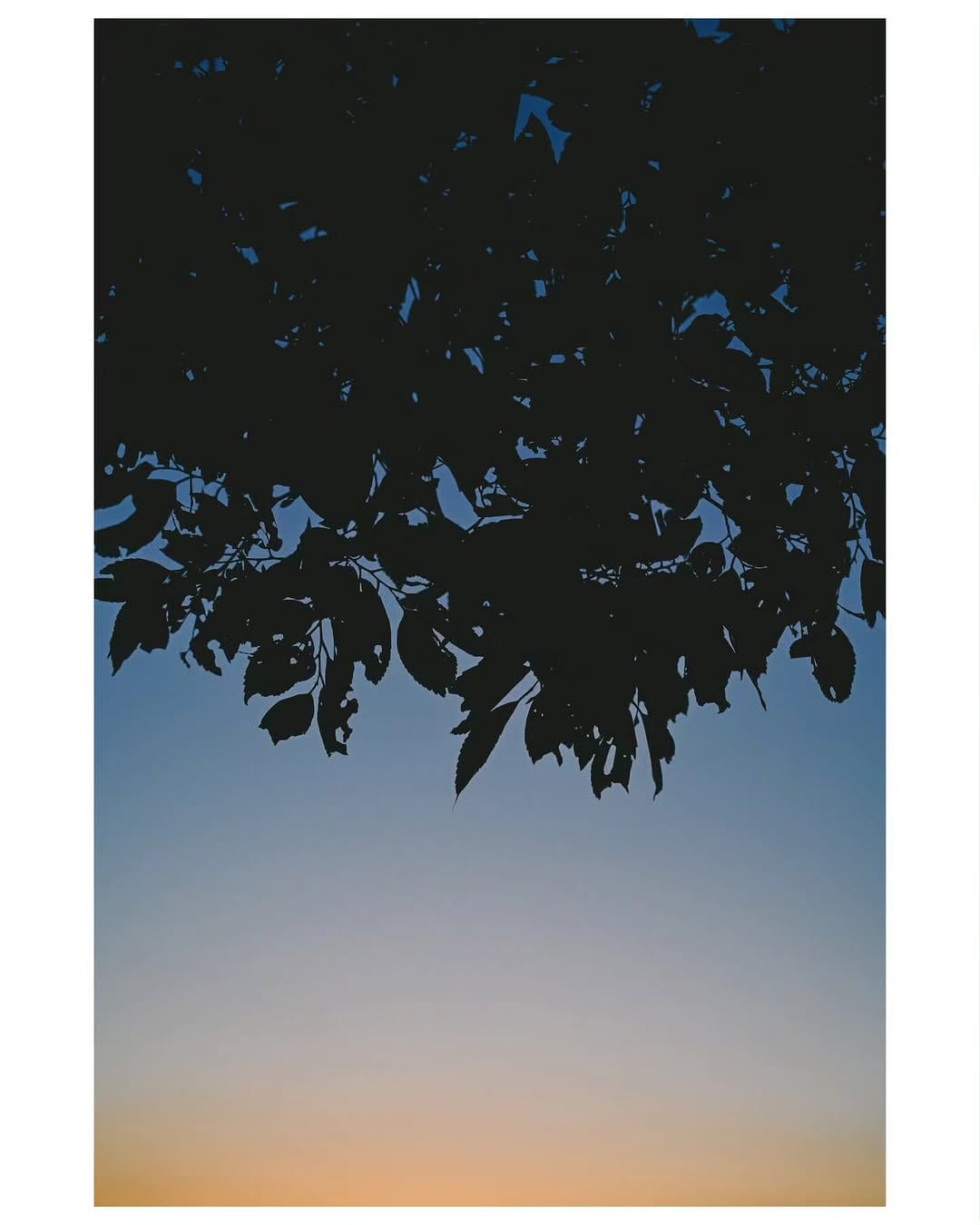 Post 5 by Yōhei Sawamura / 澤村 洋兵 on Instagram (image)