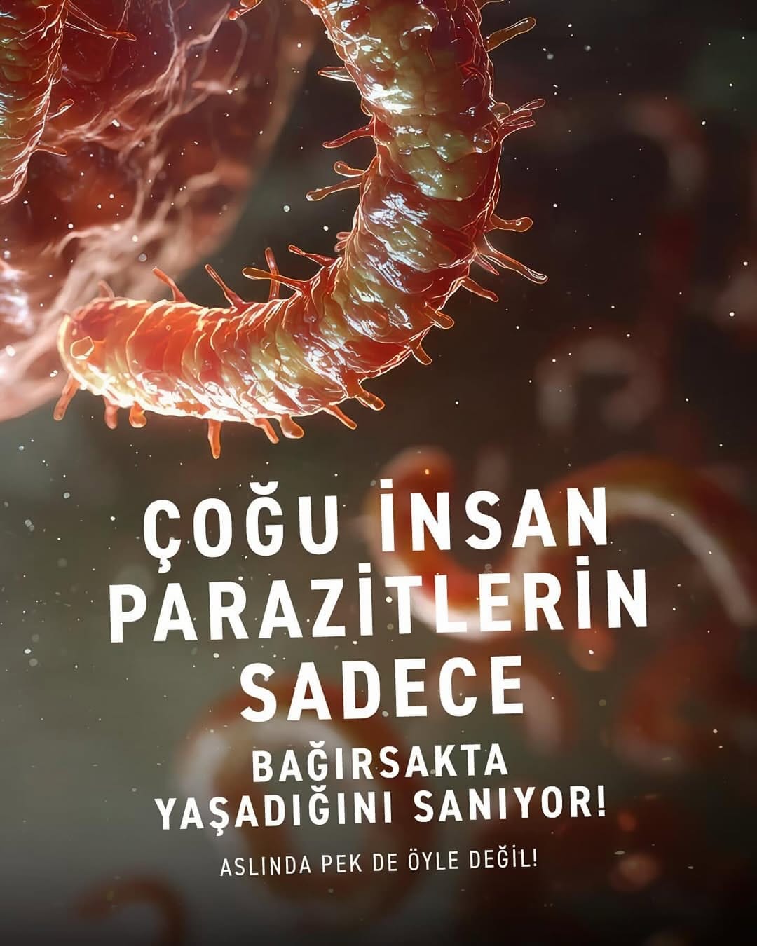 Post 10 by Ayşegül Şimşek on Instagram (carousel)
