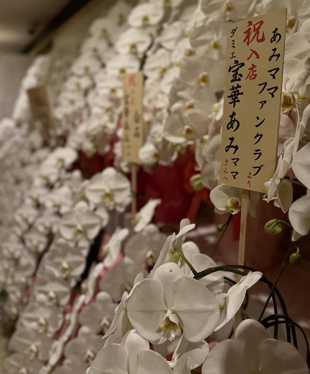 Post 6 by ami on Instagram (image)