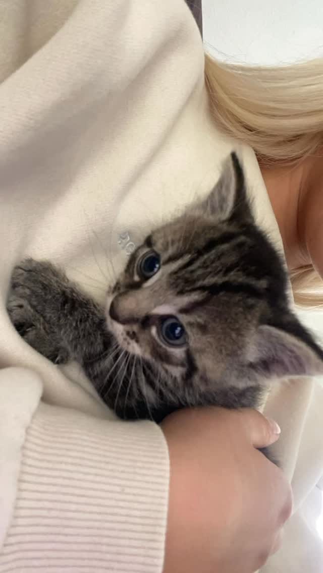 Post 4 by 𝐵𝑢𝑘𝑒𝑡 𝐵𝑒𝑛𝑔𝑖𝑠𝑢 𝑈̈𝑛𝑎𝑙 ♡ on Instagram (video)