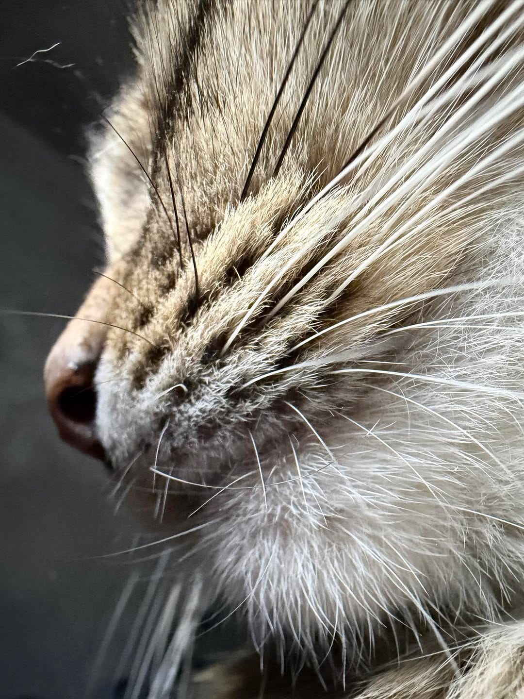 Post 10 by Onesimo Mixtega on Instagram (image)