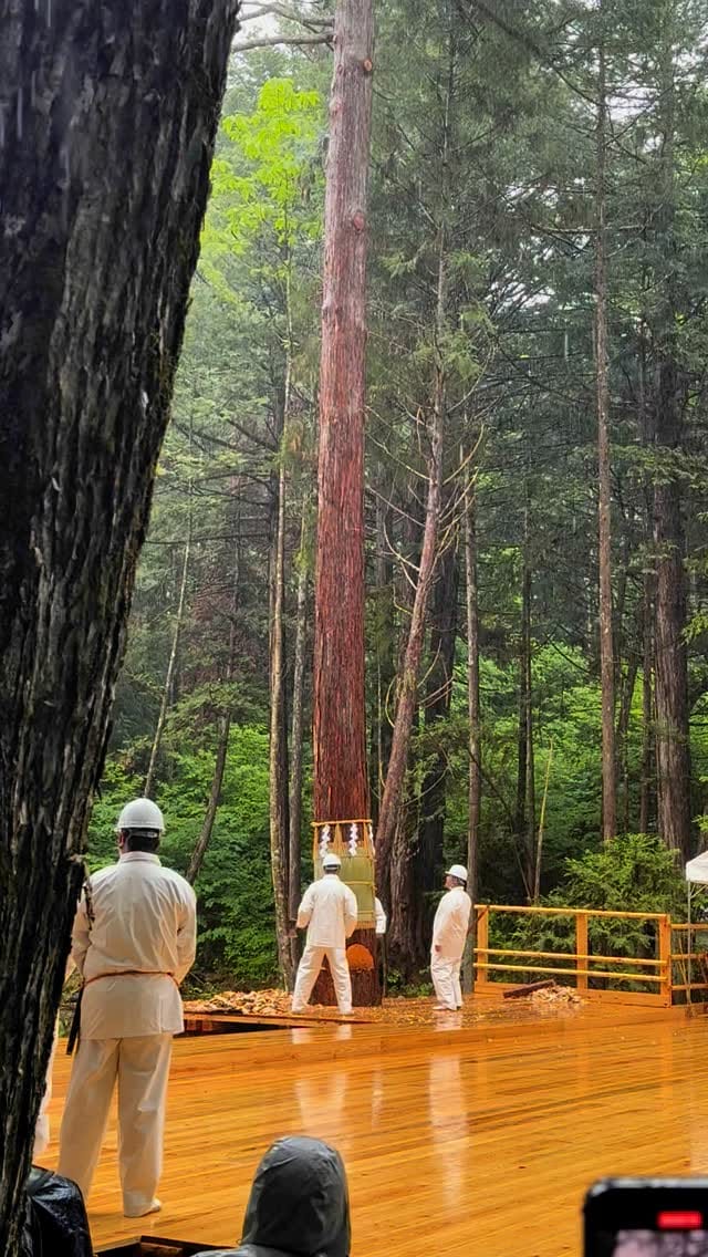Post 10 by Fumihiko Sano on Instagram (video)