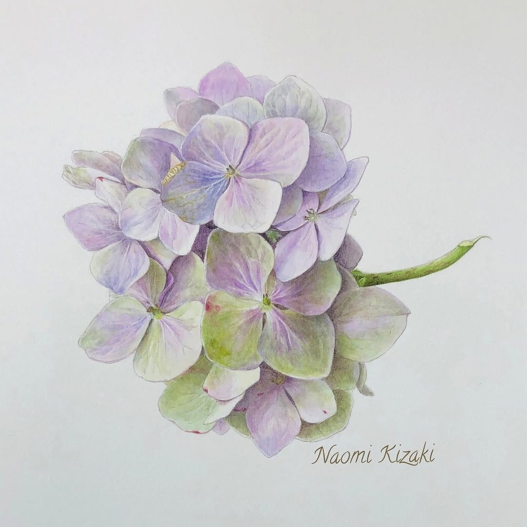 Post 7 by Naomi Kizaki 木崎 奈緒美 on Instagram (carousel)