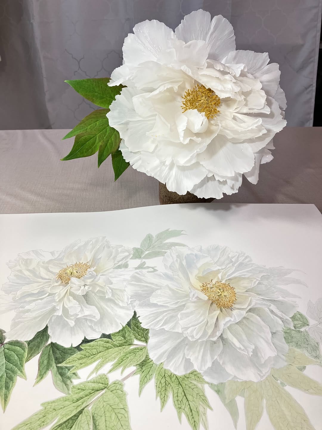 Post 1 by Naomi Kizaki 木崎 奈緒美 on Instagram (image)