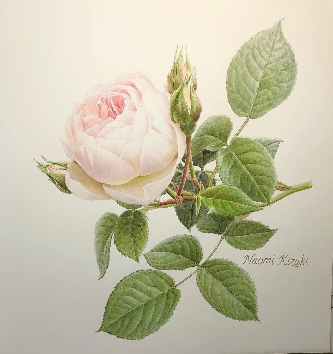 Post 9 by Naomi Kizaki 木崎 奈緒美 on Instagram (carousel)