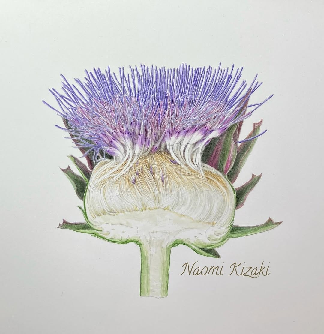 Post 5 by Naomi Kizaki 木崎 奈緒美 on Instagram (carousel)