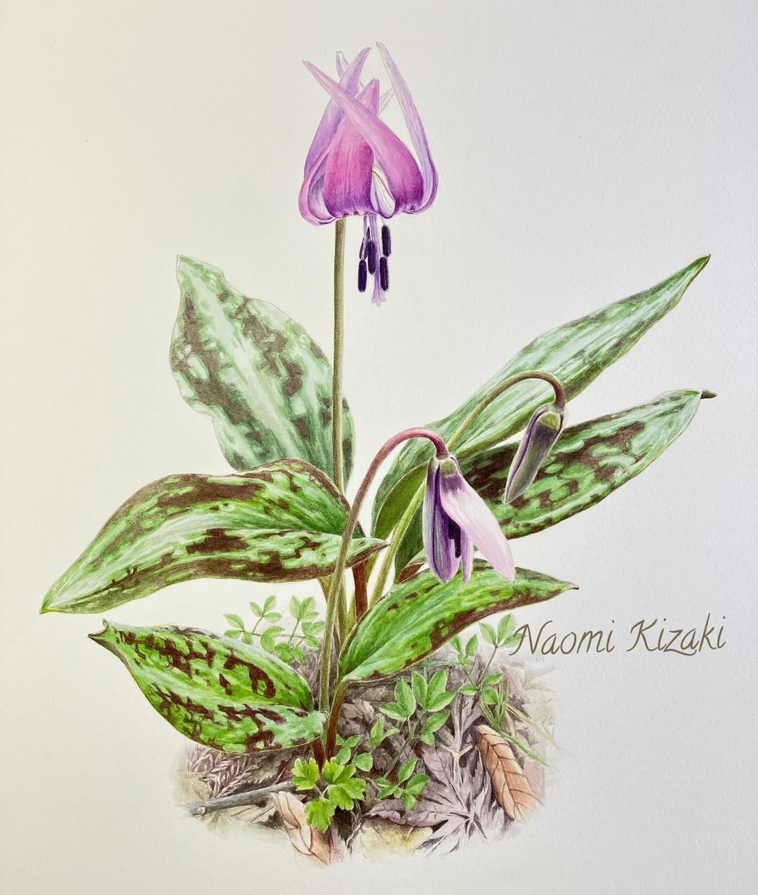 Post 2 by Naomi Kizaki 木崎 奈緒美 on Instagram (image)
