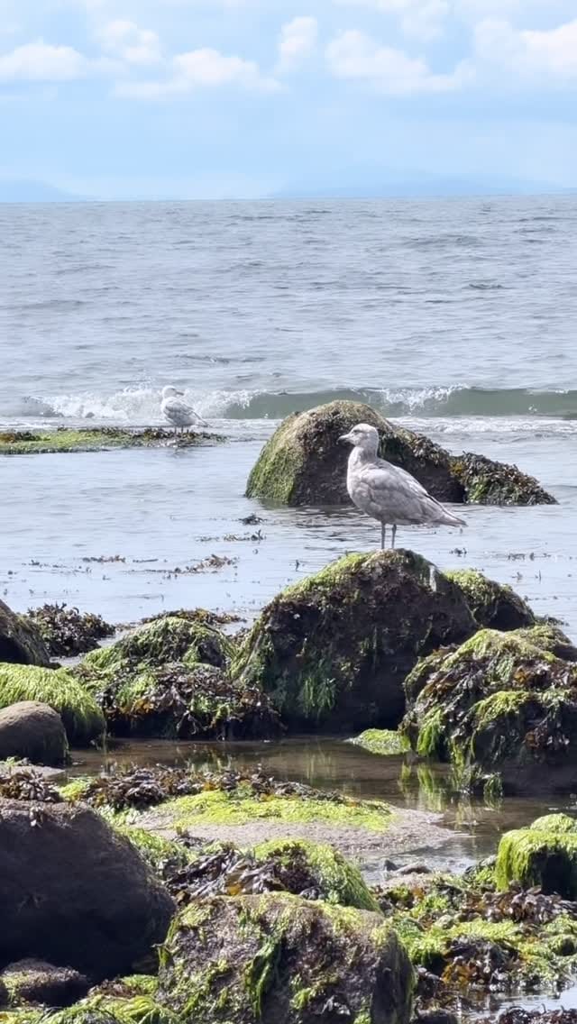 Post 2 by KAMIDE KEIGO on Instagram (video)