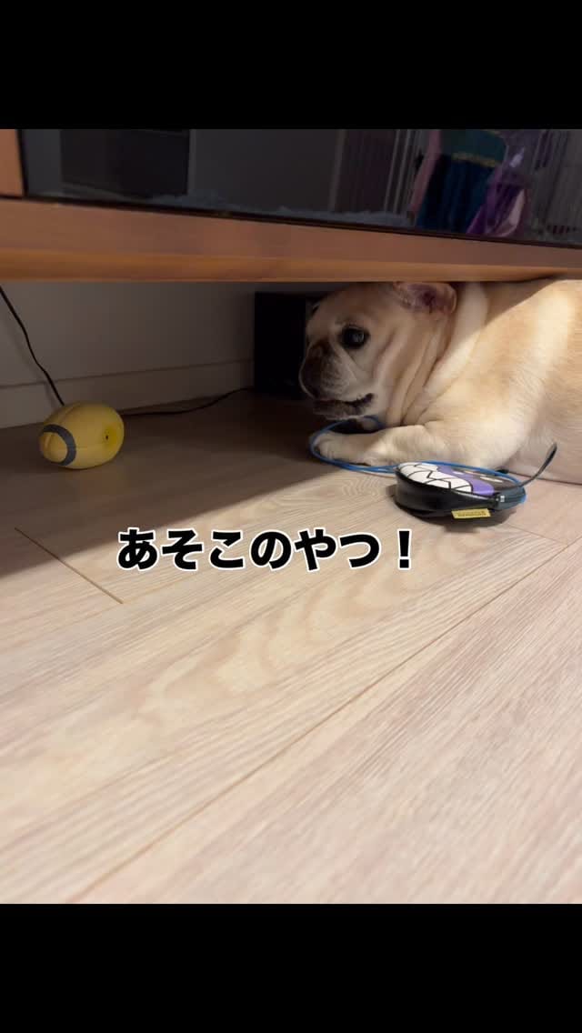Post 7 by konatsu on Instagram (video)