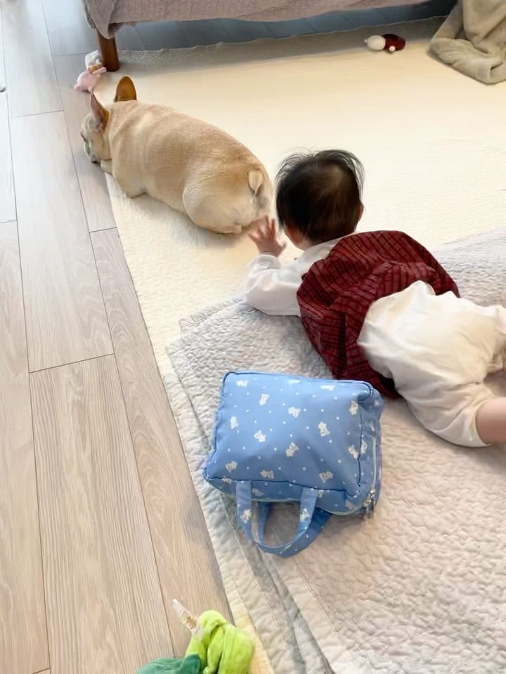Post 10 by konatsu on Instagram (video)