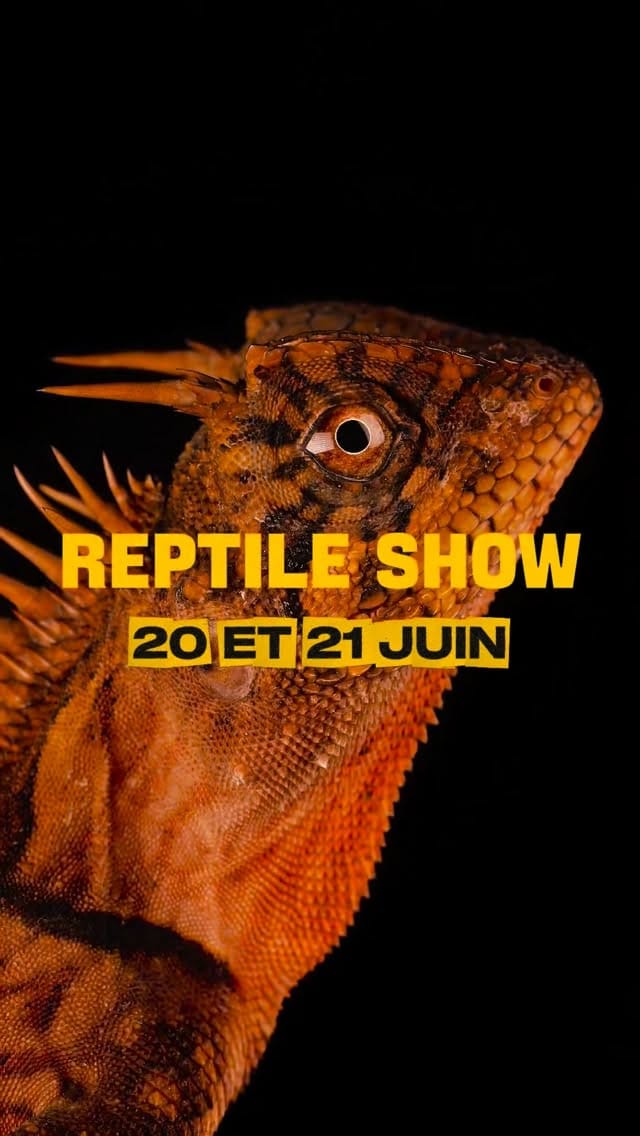 Post 6 by La Ferme Tropicale on Instagram (video)